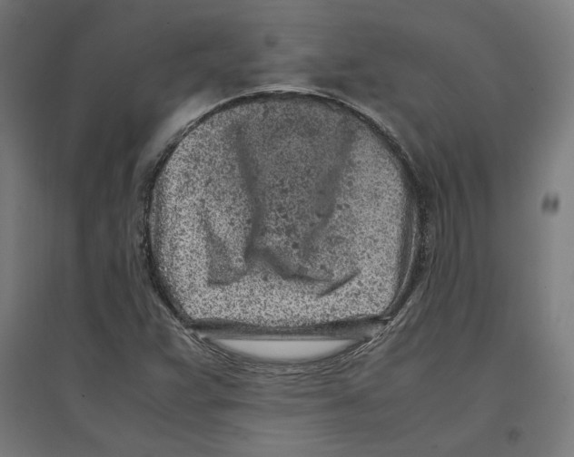 X0000096731359200803041214