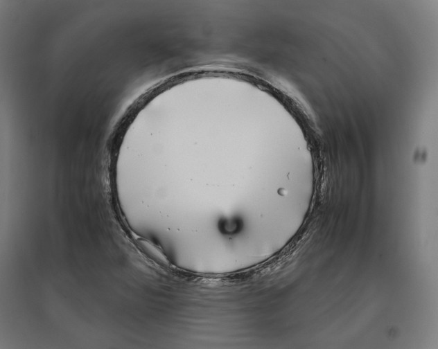 X0000096731360200803041214