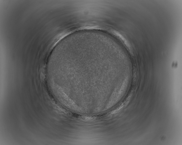 X0000096731361200803041214