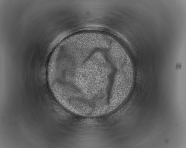 X0000096731362200803041214