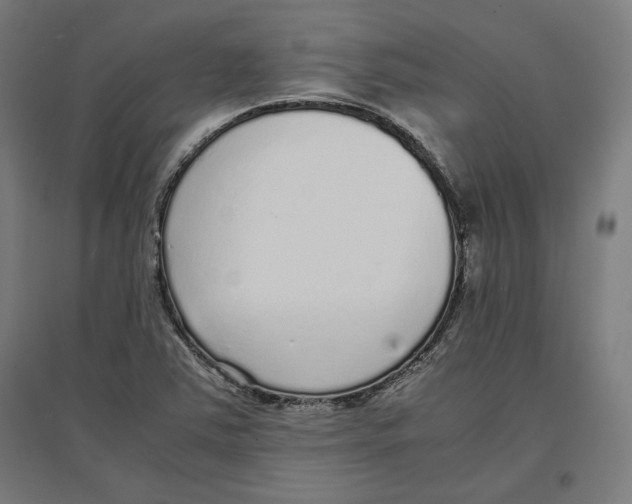X0000096731363200803041214