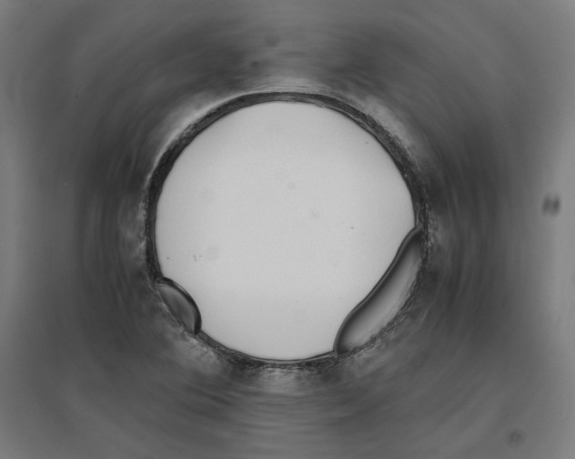 X0000096731364200803041214