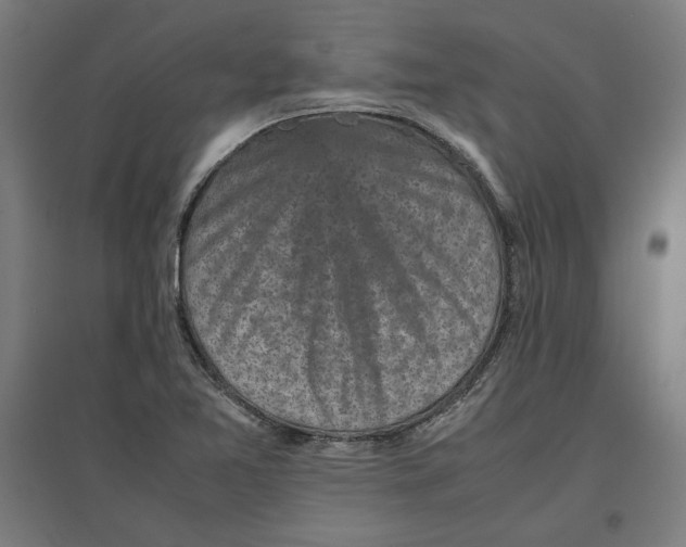 X0000096731365200803041214