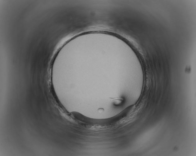 X0000096731366200803041214