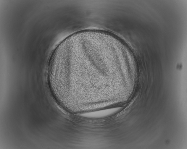 X0000096731367200803041214