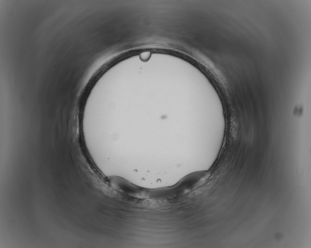 X0000096731368200803041214