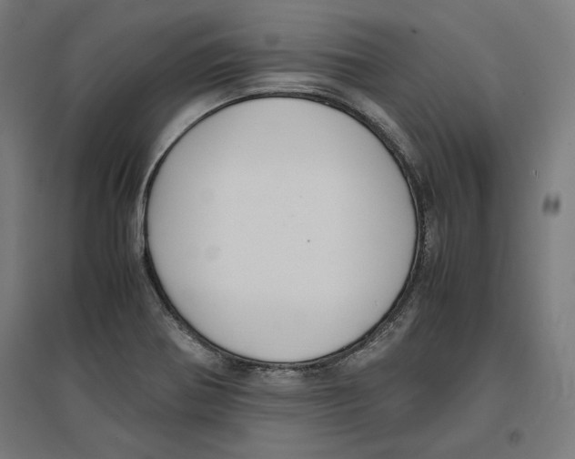 X0000096731370200803041214