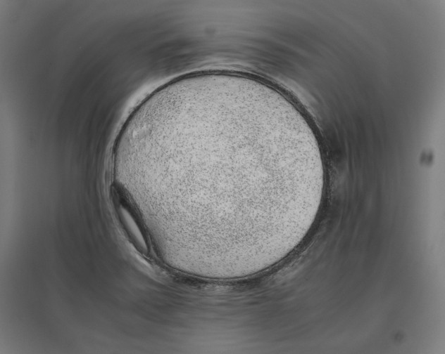 X0000096731371200803041214