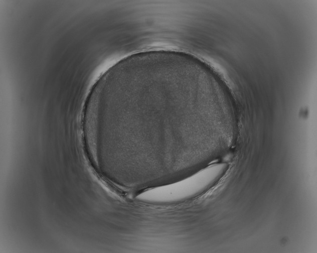 X0000096731373200803041214