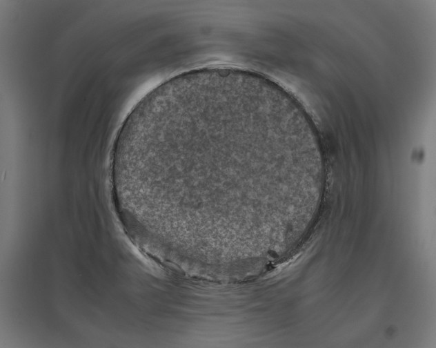 X0000096731375200803041214