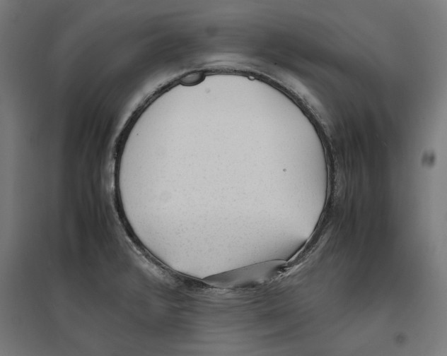 X0000096731376200803041214