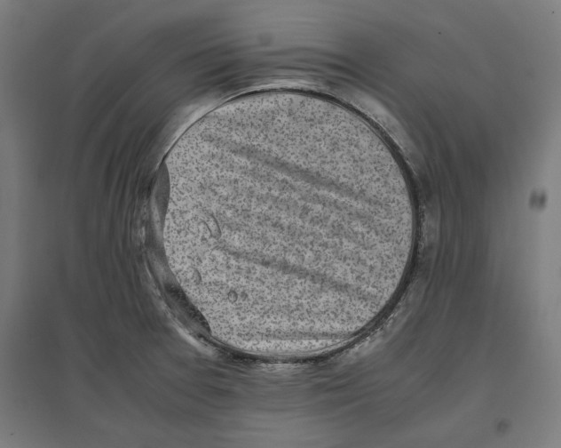 X0000096731377200803041214