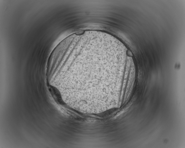 X0000096731378200803041214