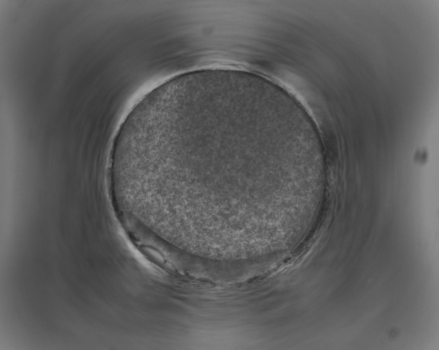 X0000096731379200803041213