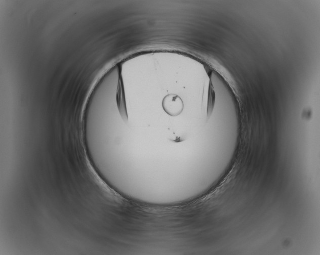 X0000096731380200803041213