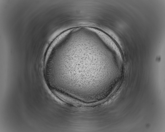 X0000096731381200803041213
