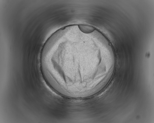 X0000096731382200803041213