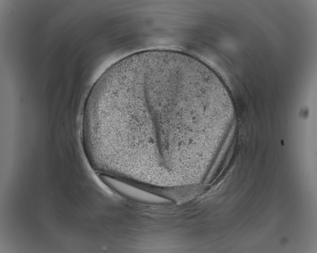 X0000096731383200803041213