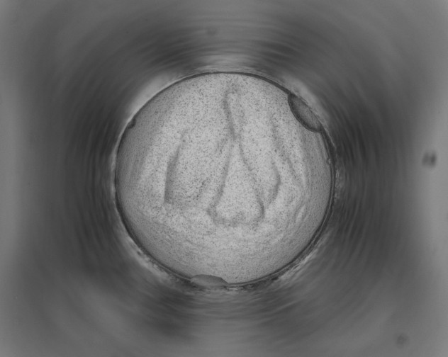 X0000096731386200803041213