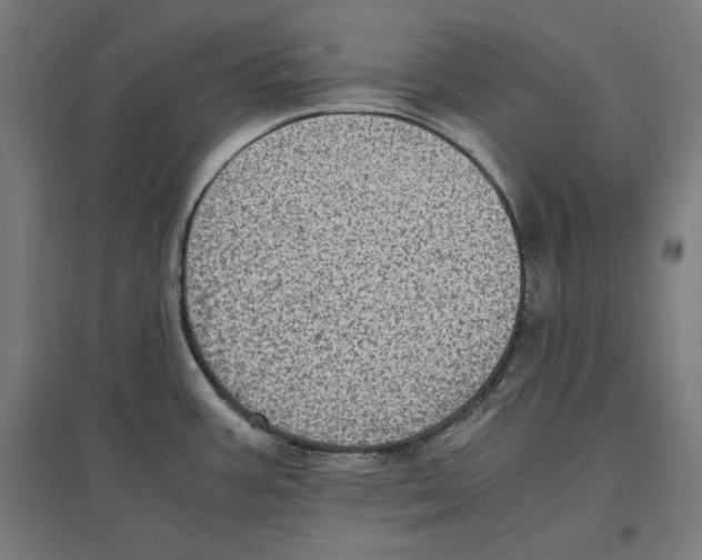 X0000096731387200803041213