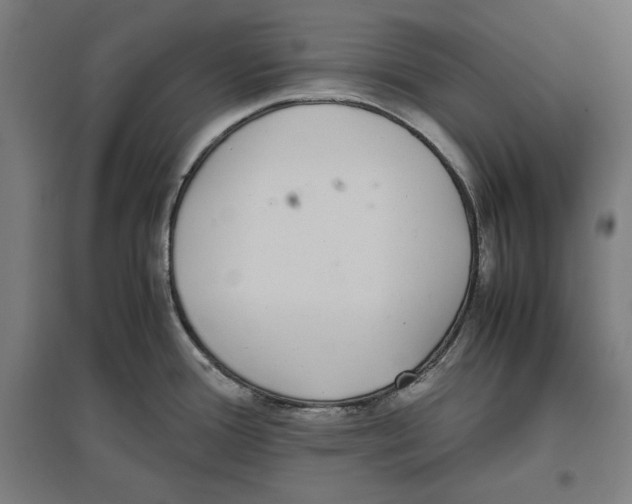 X0000096731388200803041213