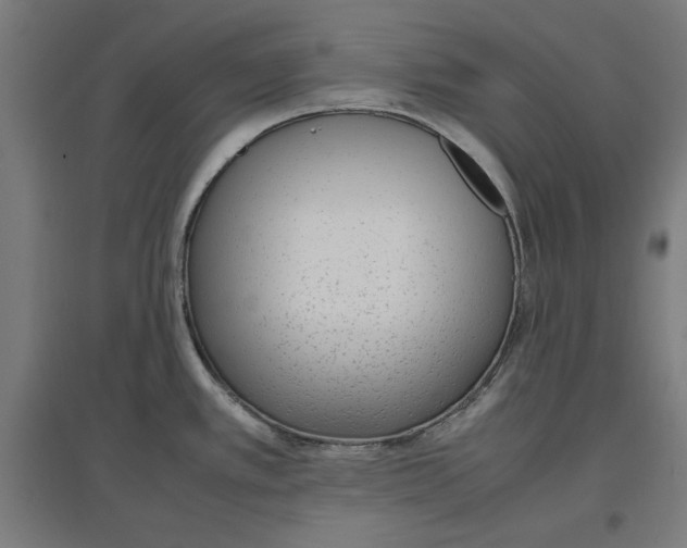 X0000096731389200803041213