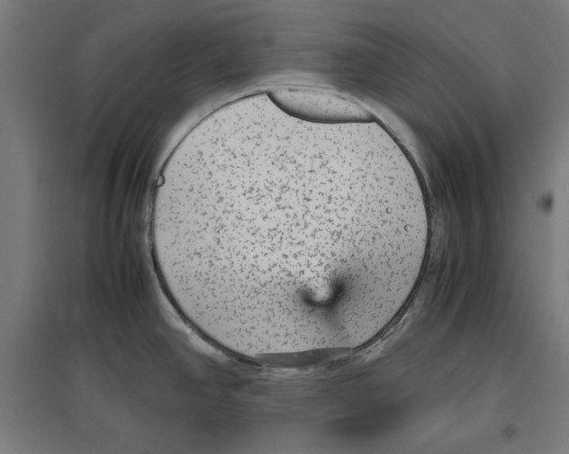 X0000096731390200803041213