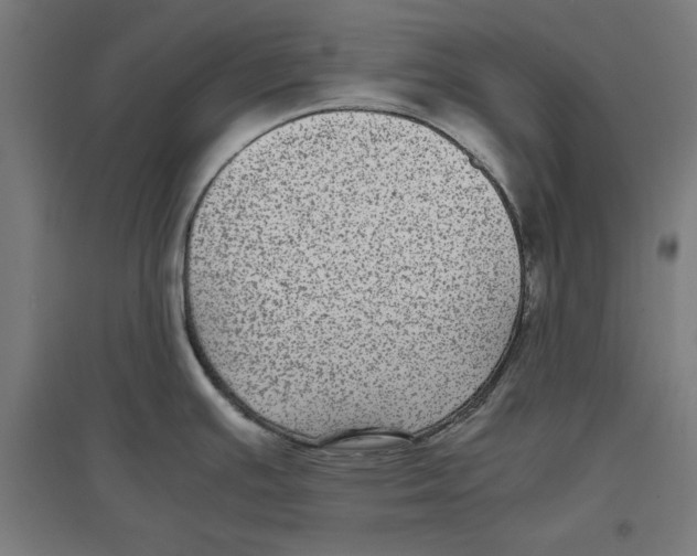 X0000096731391200803041213