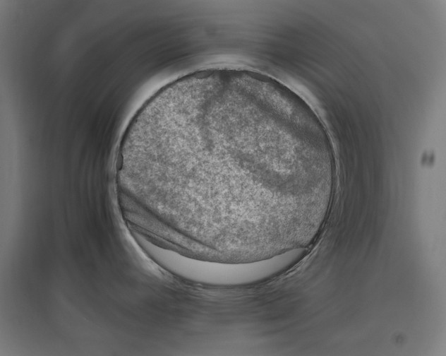 X0000096731392200803041213