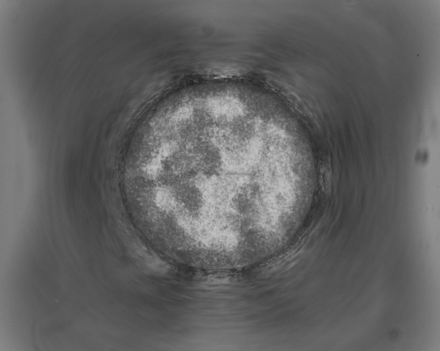 X0000096731393200803041213