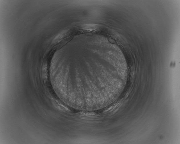 X0000096731394200803041213