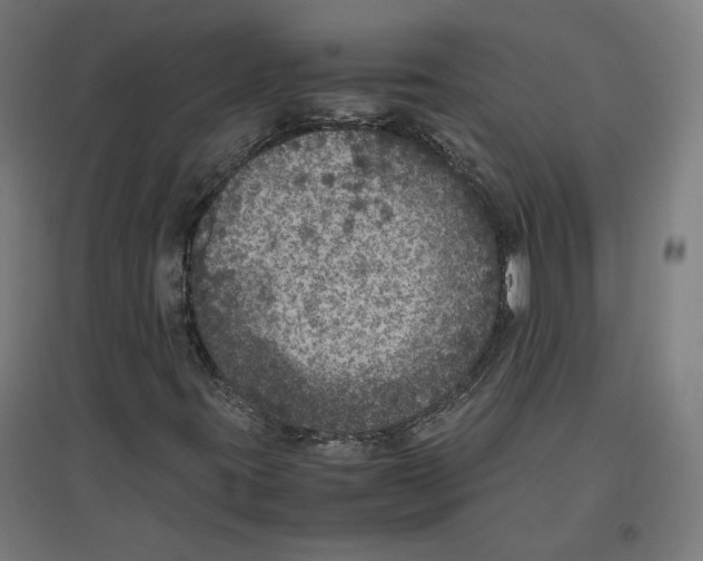X0000096731395200803041213