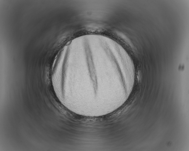X0000096731396200803041213