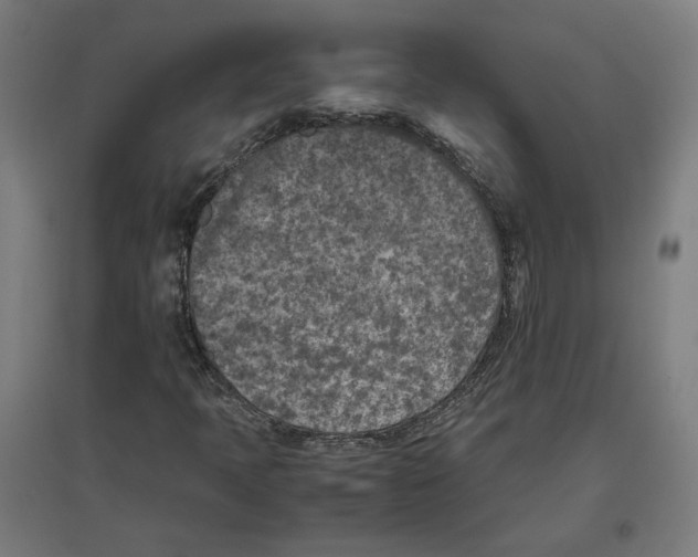 X0000096731397200803041213