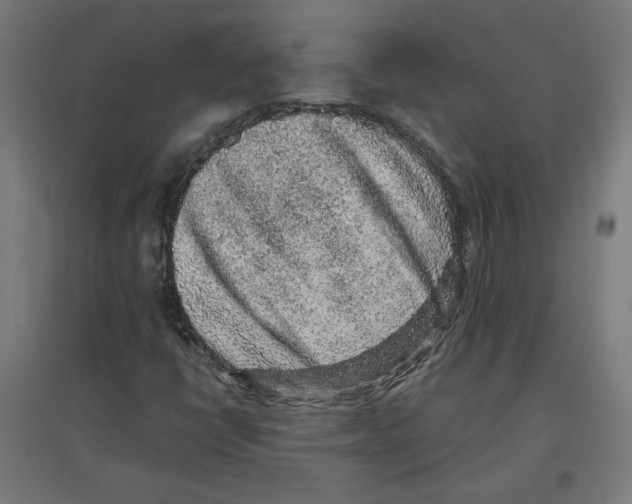 X0000096731398200803041213