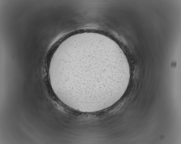 X0000096731400200803041213