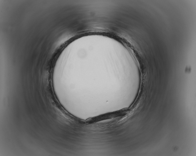 X0000096731402200803041213