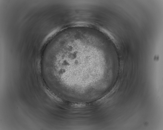 X0000096731403200803041213