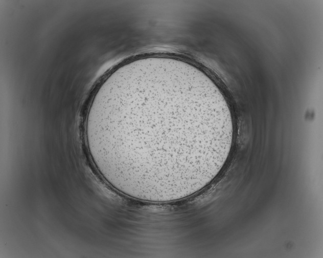 X0000096731404200803041213