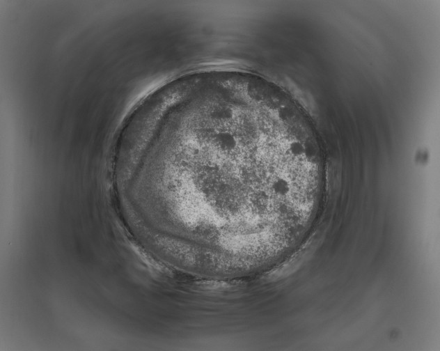 X0000096731405200803041213