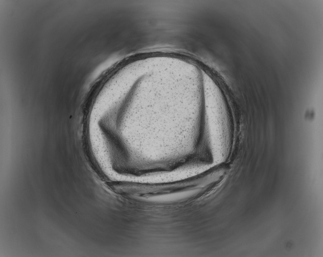 X0000096731406200803041213