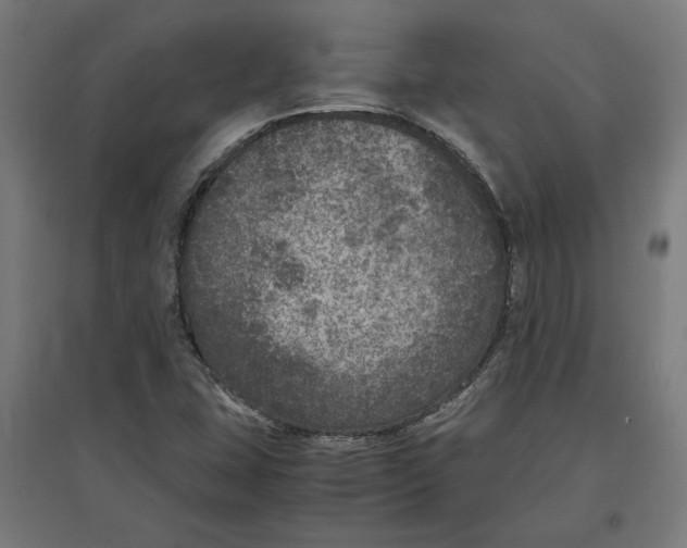X0000096731407200803041213