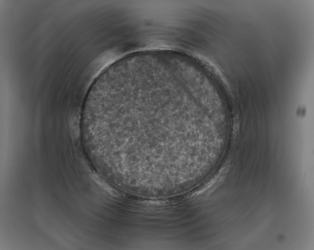 X0000096731409200803041213
