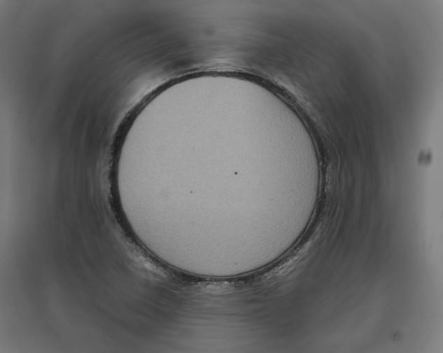 X0000096731410200803041213
