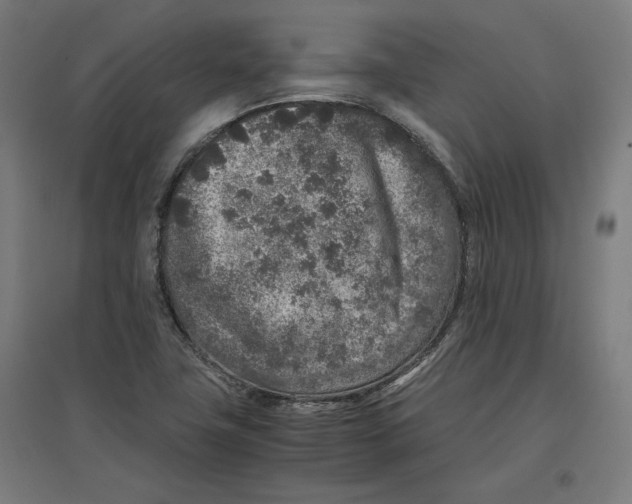 X0000096731411200803041213