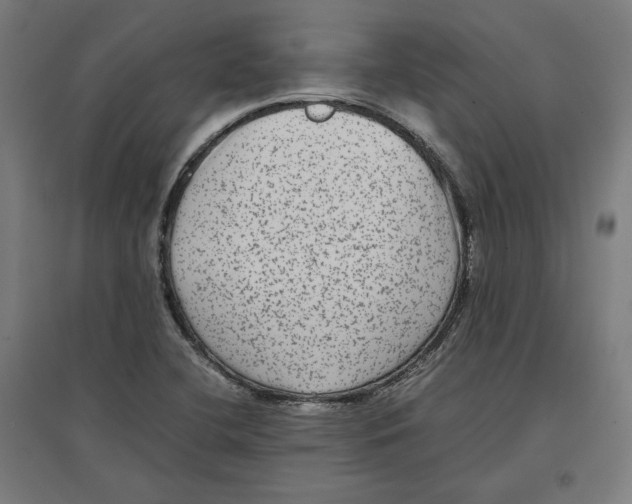 X0000096731412200803041213