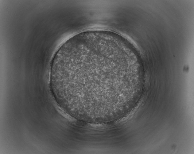 X0000096731413200803041213