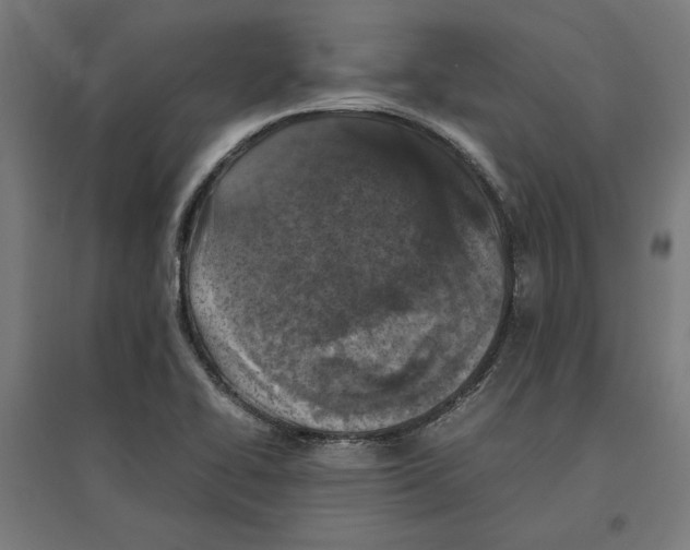 X0000096731414200803041213