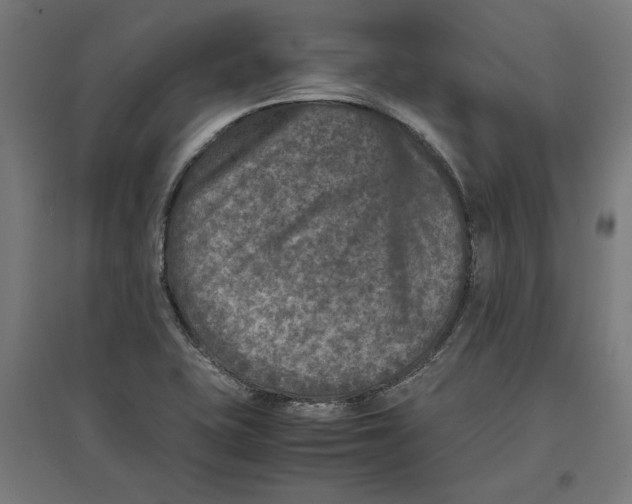 X0000096731415200803041213
