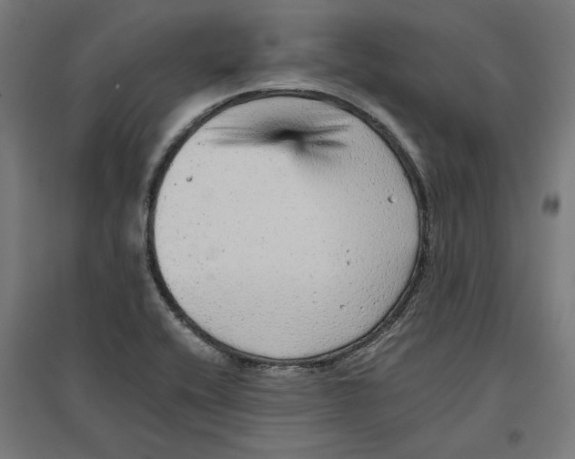 X0000096731416200803041213